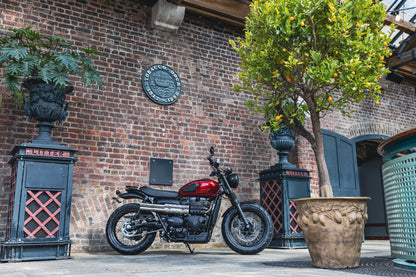 Triumph Street Scrambler