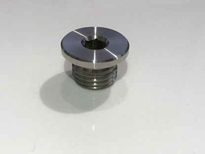 T3450071 Triumph Stainless Oilway Bung x 1